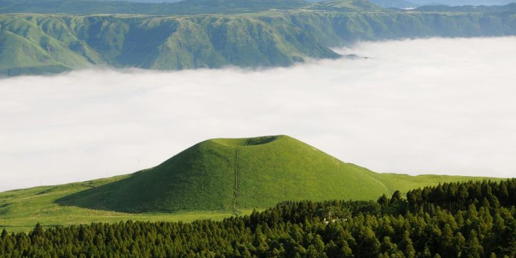Erdbeben der Stärke 7,1 erschüttert Südjapan