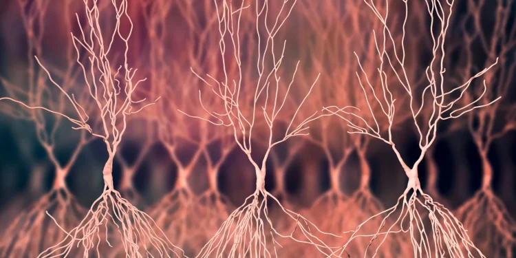 Alzheimer-Forschung: Zwei Moleküle steuern TAOK-Proteine