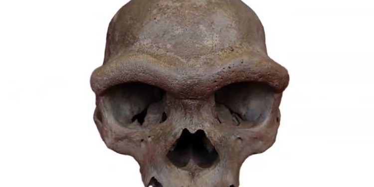Große Denisova-Menschen? Warum zwei Fossilien nicht genügen