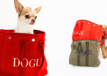 Sechs Hunde werden zu Models für Vogue