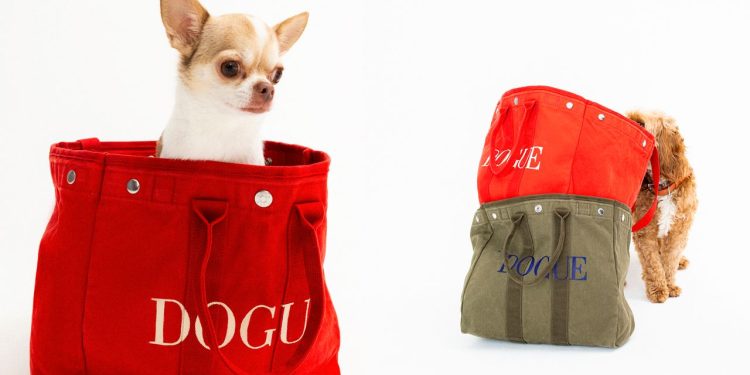 Sechs Hunde werden zu Models für Vogue