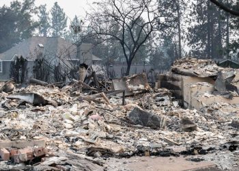 Waldbrände in Spokane zwingen 65.000 Menschen zur Flucht